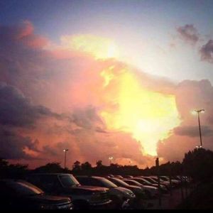 Meet your Posher, Mona